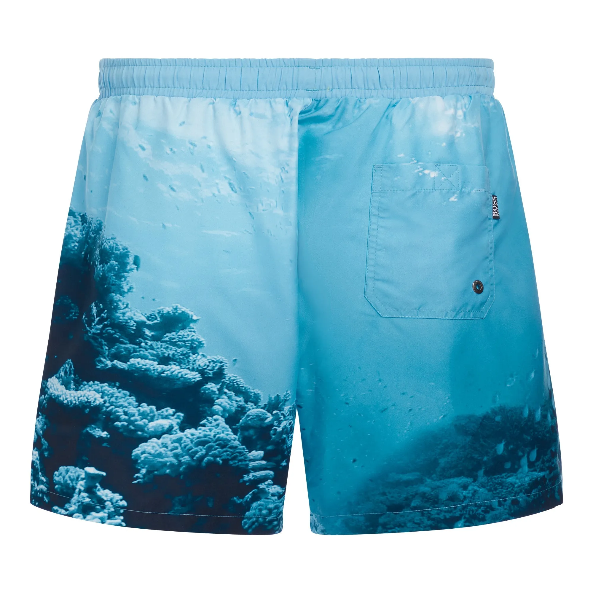 Men White Shark Swimwear - Open Blue