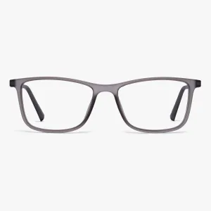 Men's Skagen Grey
