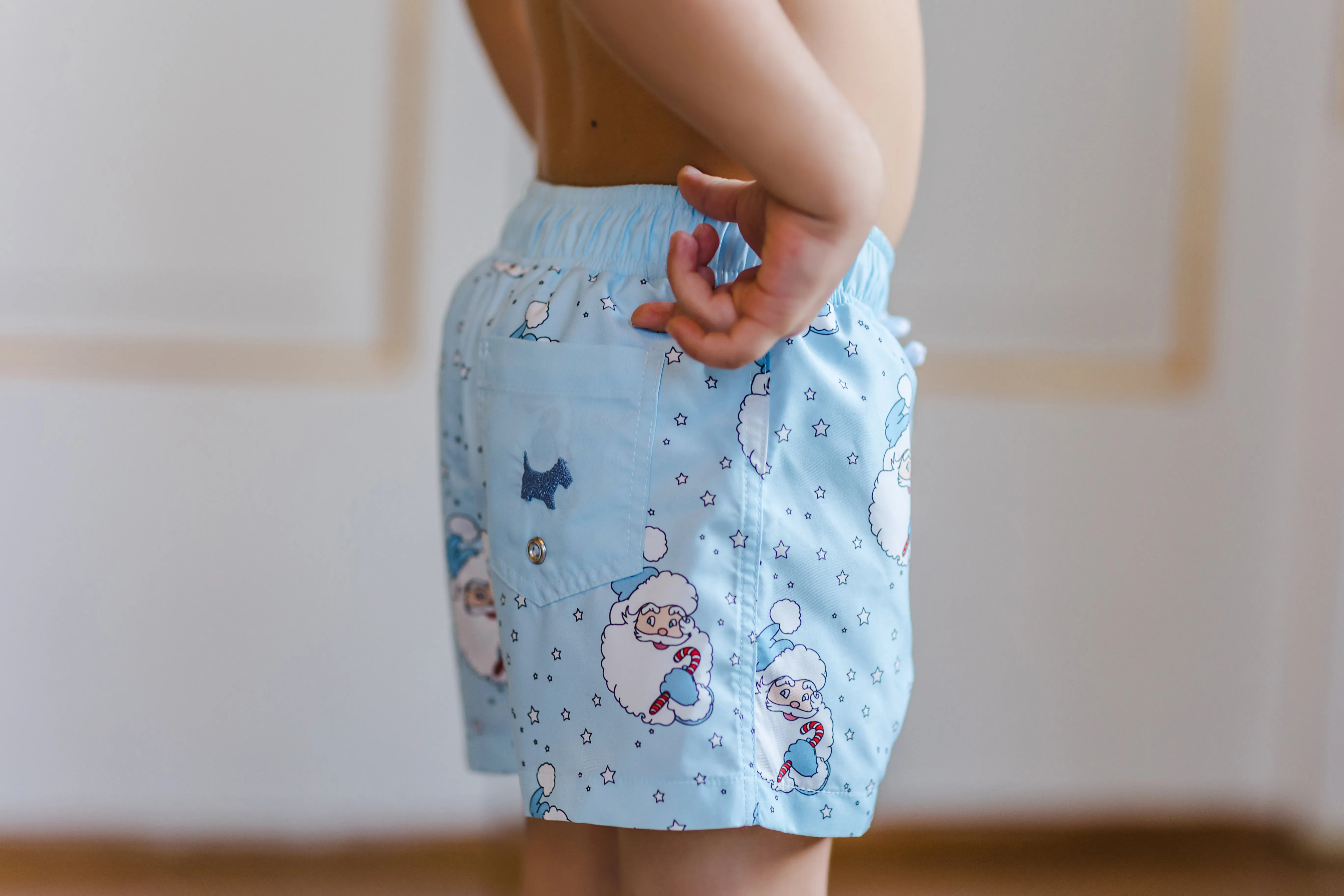 Santa Blue Trunks